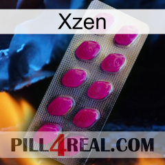 Xzen 09